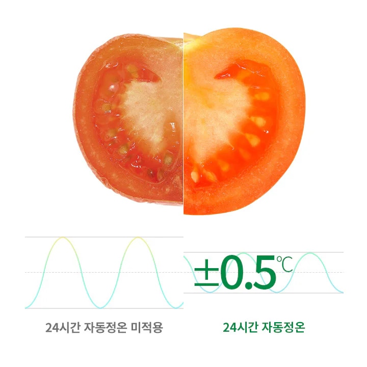 반으로 자른 토마토의 이미지가 있으며, 두 부분의 색상이 다릅니다. 아래에는 그래프와 함께 24시간 자동정온 미적용과 24시간 자동정온이라는 문구가 있습니다. 그래프는 온도의 변화를 나타내며, ±0.5℃라는 텍스트가 포함되어 있습니다.