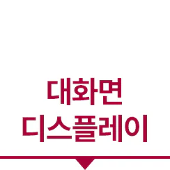 대화면 디스플레이