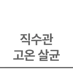 직수관 고온살균